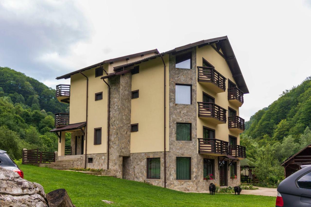 Casa Valea Cernei Hotel Isverna Exterior foto