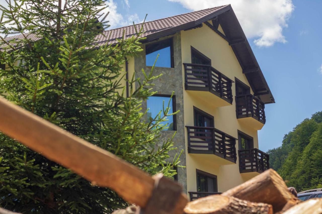 Casa Valea Cernei Hotel Isverna Exterior foto